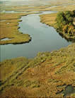 Photo of a water delta